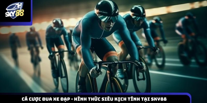 cá cược đua xe đạp