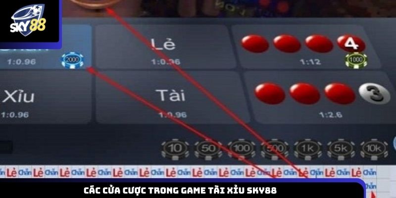 Khám phá các cửa cược trong game Tài Xỉu Sky88
