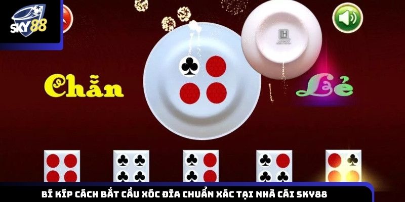 cách bắt cầu xóc đĩa