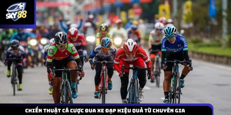 Chiến thuật cá cược đua xe đạp hiệu quả từ chuyên gia