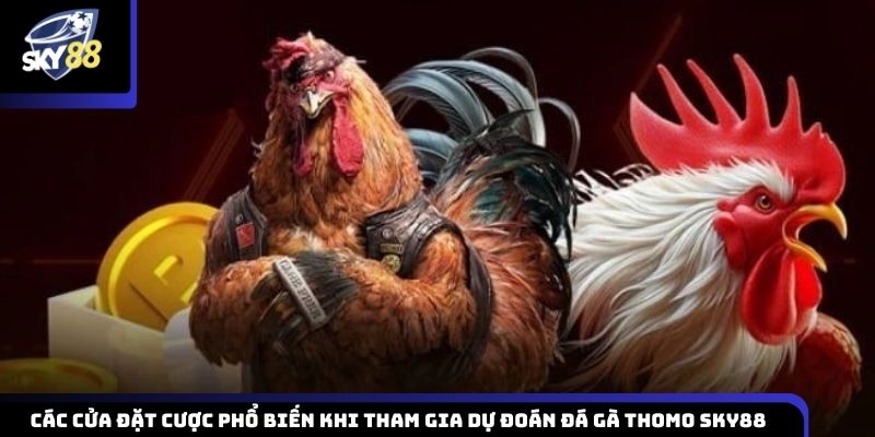 Các lựa chọn kèo cược thông dụng khi tham gia dự đoán đá gà Thomo Sky88
