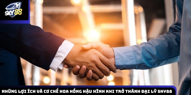 Những quyền lợi đáng chú ý cùng cơ chế hoa hồng ưu đãi dành cho đại lý