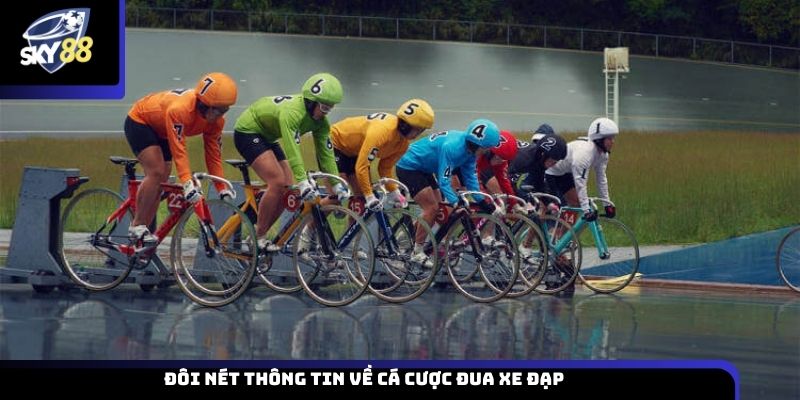 Đôi nét thông tin về cá cược đua xe đạp