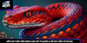 Nằm mơ thấy rắn đánh con gì