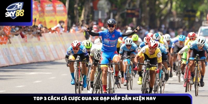 Top 3 cách cá cược đua xe đạp hấp dẫn hiện nay